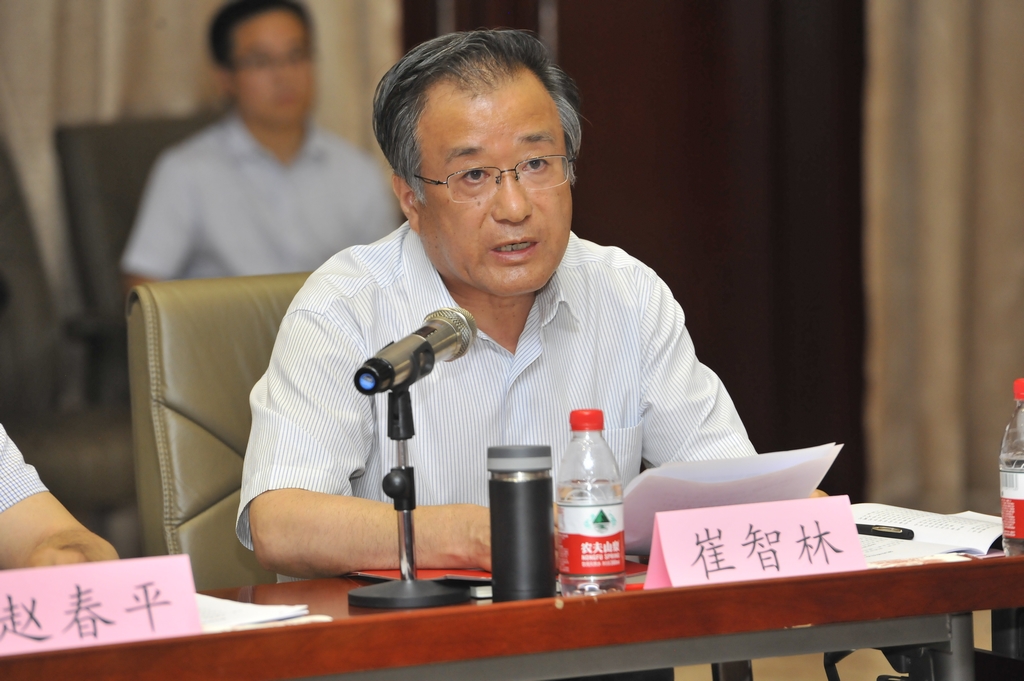党委书记崔智林作主题发言