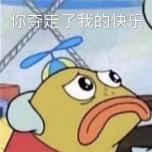 24886