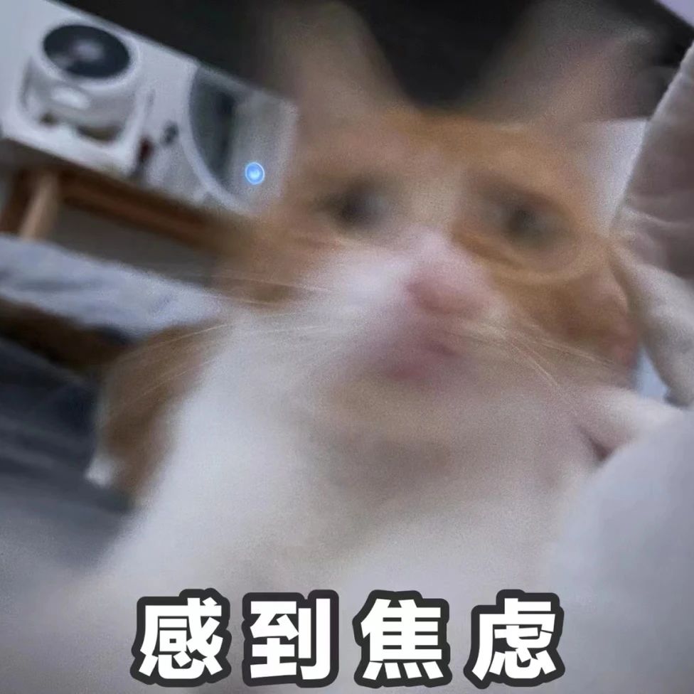 15900